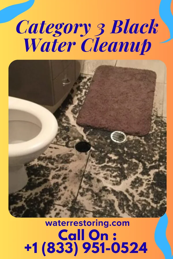 Category 3 Black Water Cleanup in Clive, IA