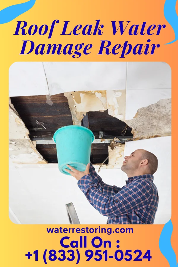 Roof Leak Water Damage Repair in Clive, IA